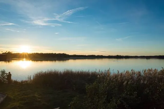 Assunpink Wildlife Management Area