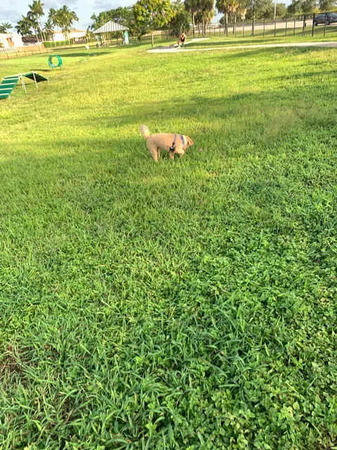 West Kendall District Park