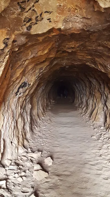 Yacimiento de la Sima de las Palomas