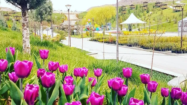 Sincan Municipality Park Greenhouse