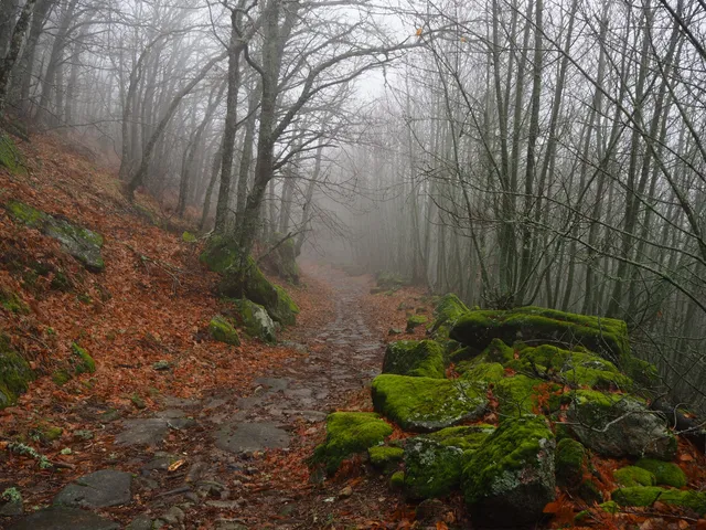Puerto de Santa Clara