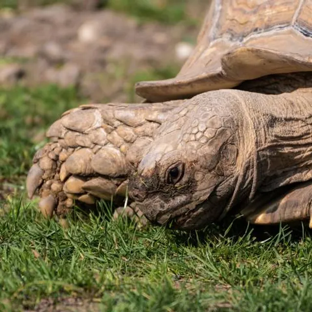 Pymatuning Deer Park