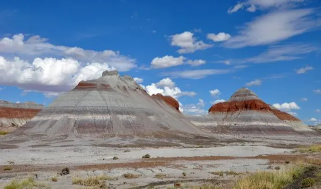 Black Hills Petrified Forest