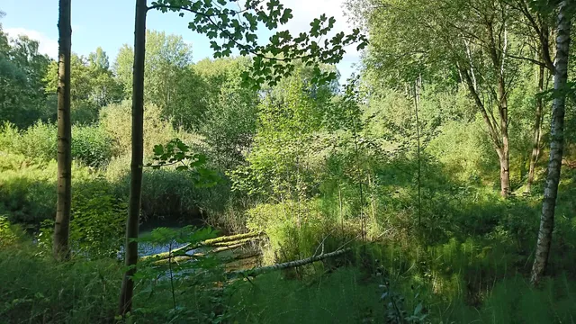 Naturdenkmal Tongrube Willershausen
