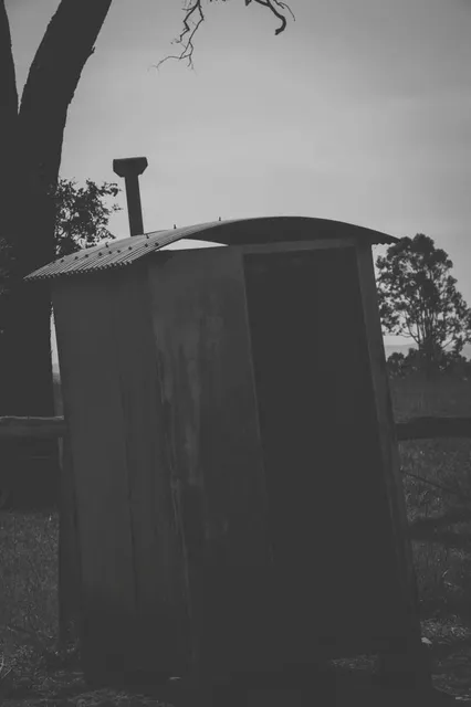 הגלריה הירוקה - פארק דינה