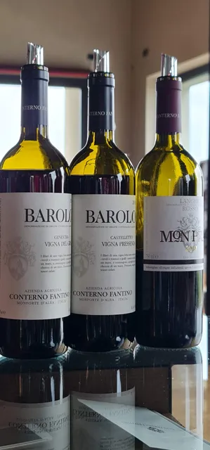 Azienda Agricola Conterno - Fantino