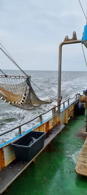 Fischkutter Seestern