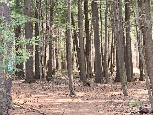 Gillies Grove and House National Historic Site of Canada