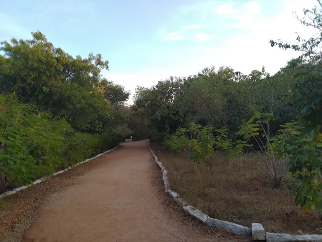 Narapally Reserve Forest