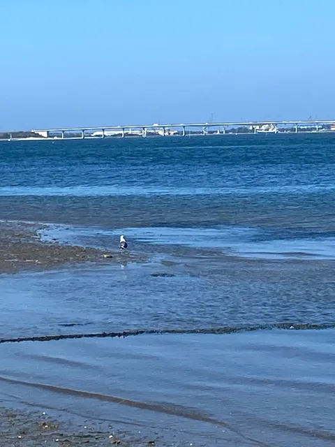 Ponte de Praia da Barra
