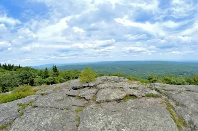 photo-2