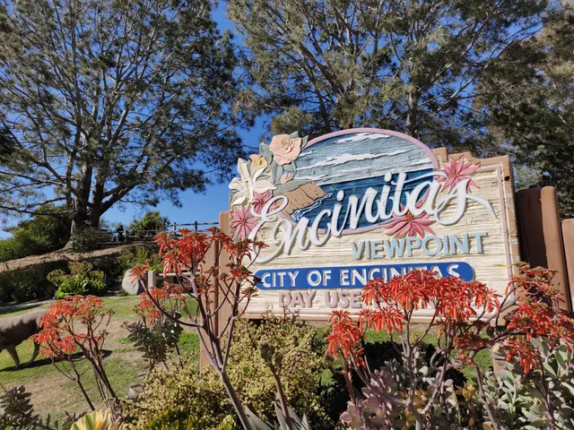 Encinitas Viewpoint