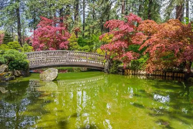 Nishinomiya Tsutakawa Japanese Garden