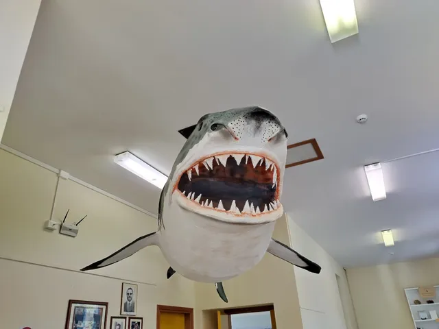 Museo del Priaboniano