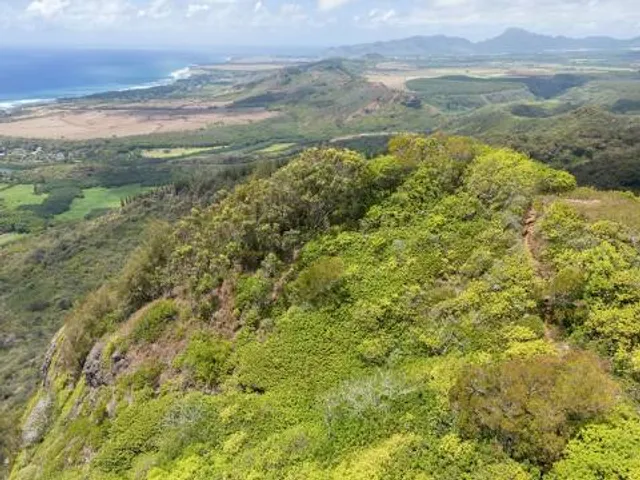 Sleeping Giant: Nounou East Trailhead