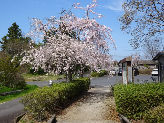 Kodai Izumo Oryo no Oka - Parque Tsukuriyama - Grupo de Kofun de Arashima