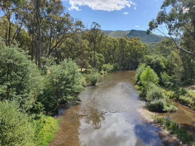 Ovens River Rail Trail Bridge