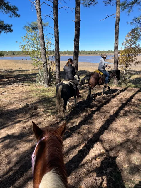 Porter Mountain Stables