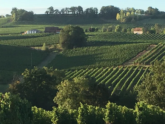 Domaine de Pécoula