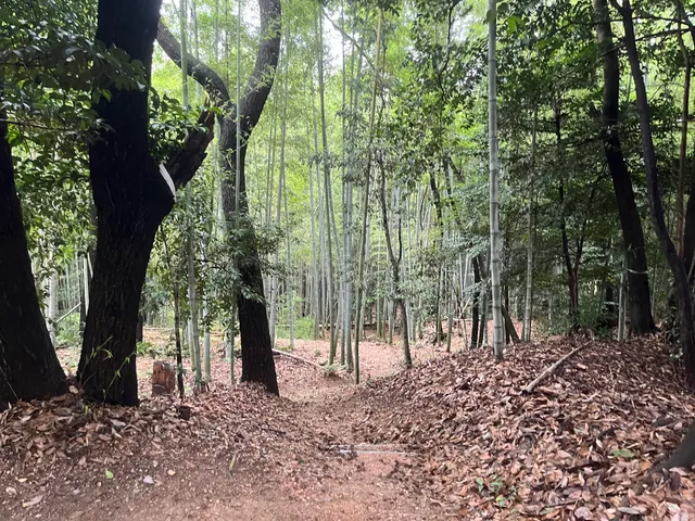 Site of Okusa Castle