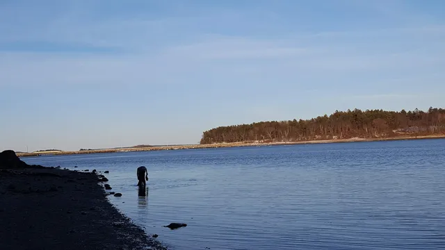Maine Island Trail Association