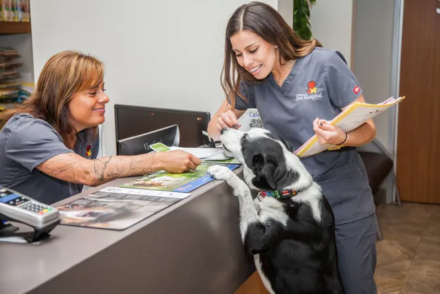 Cabrillo Pet Hospital