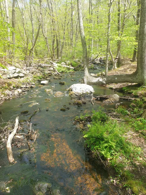 Fort Barton and Ft. Barton Woods