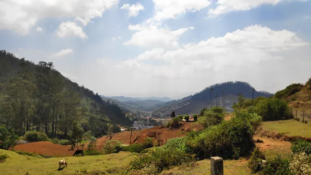 place image