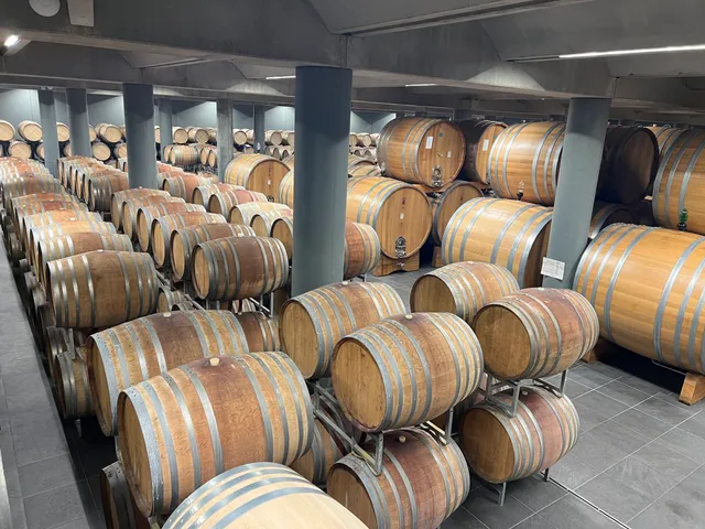 Cantina Terre del Barolo