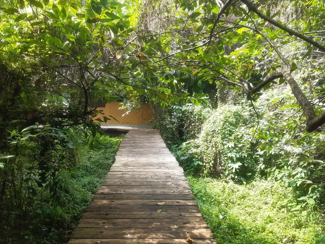 Kotte Rampart Wetland Park