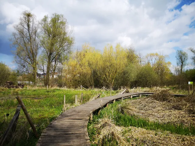 Natuurgebied de Broekbeemd