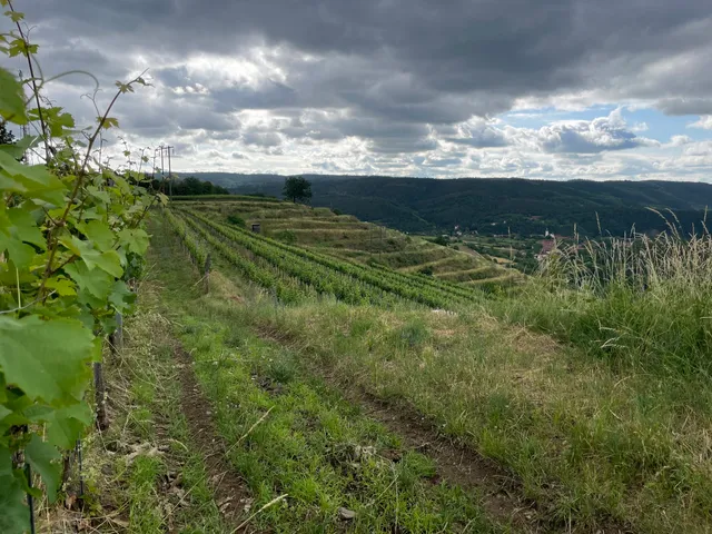 Weingut Familie Leopold