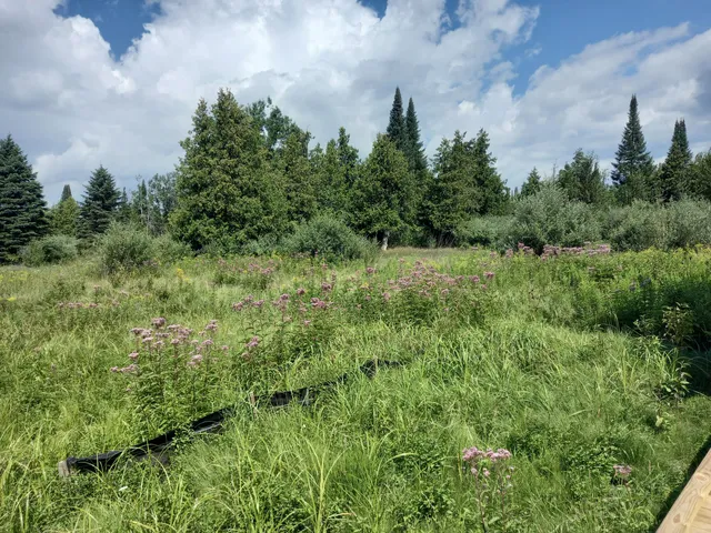 Mitchell Creek Meadows: The Don & Jerry Oleson Nature Preserve