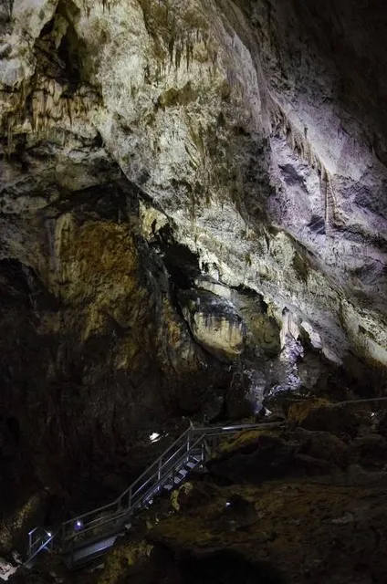 Valea Cetatii Cave