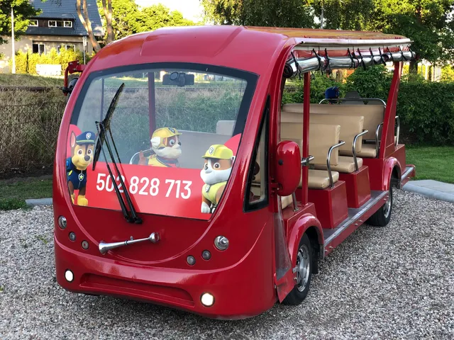 Melex Stegna Psi Patrol Meleks Pikachu