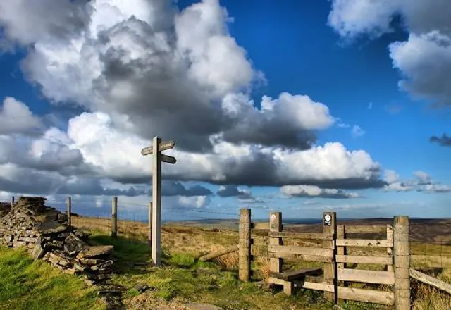 place image