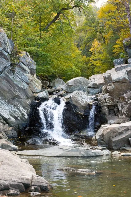 Scott’s Run Nature Preserve