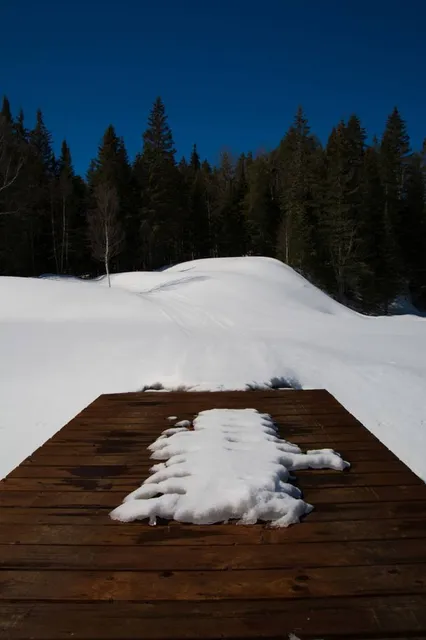 Die längste Baumliege der Welt
