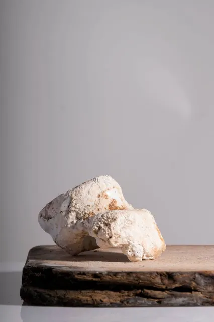 Didrichsen Art Museum