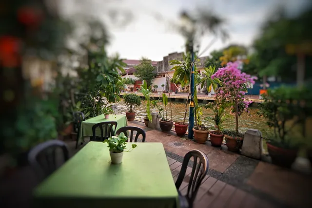 Wild Coriander Melaka