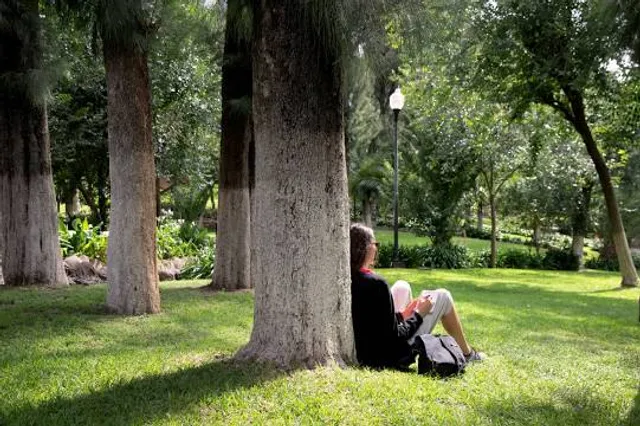 Sierra de Alica Park