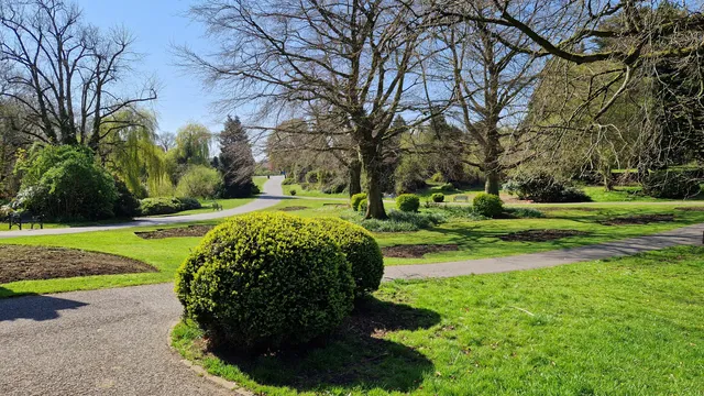 Musgrave Park, Belfast