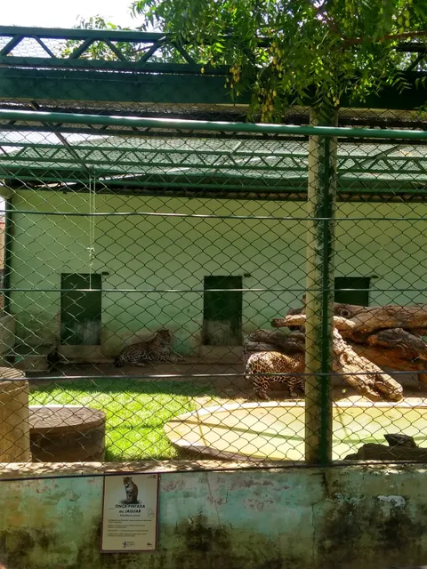 San Francisco Zoo Caninde