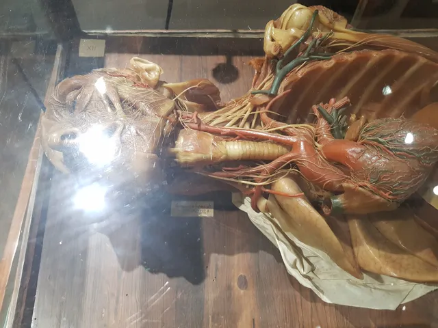 photo-1
