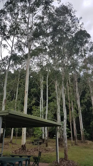 Lismore Rainforest Botanic Gardens