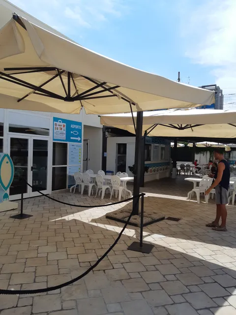 PesceAzzurro Senigallia