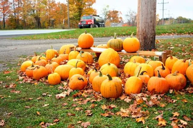 Kirkilų pramogų parkas