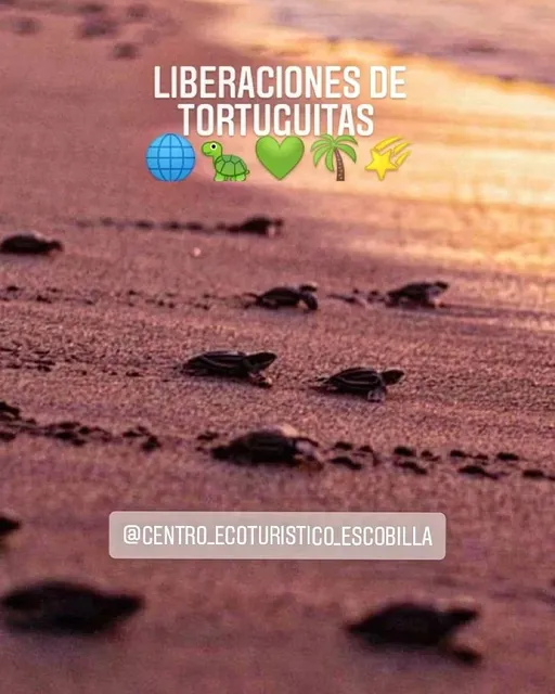 Centro Ecoturístico Escobilla en el Santuario Playa Escobilla
