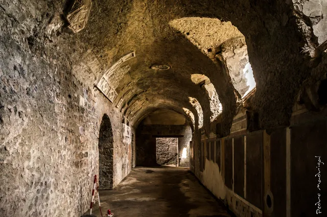 House of the Cryptoporticus