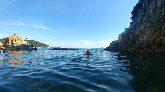 Yundol Island Evergreen Forest